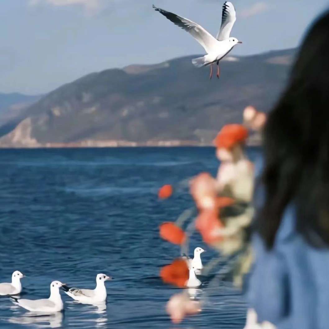 子栖.