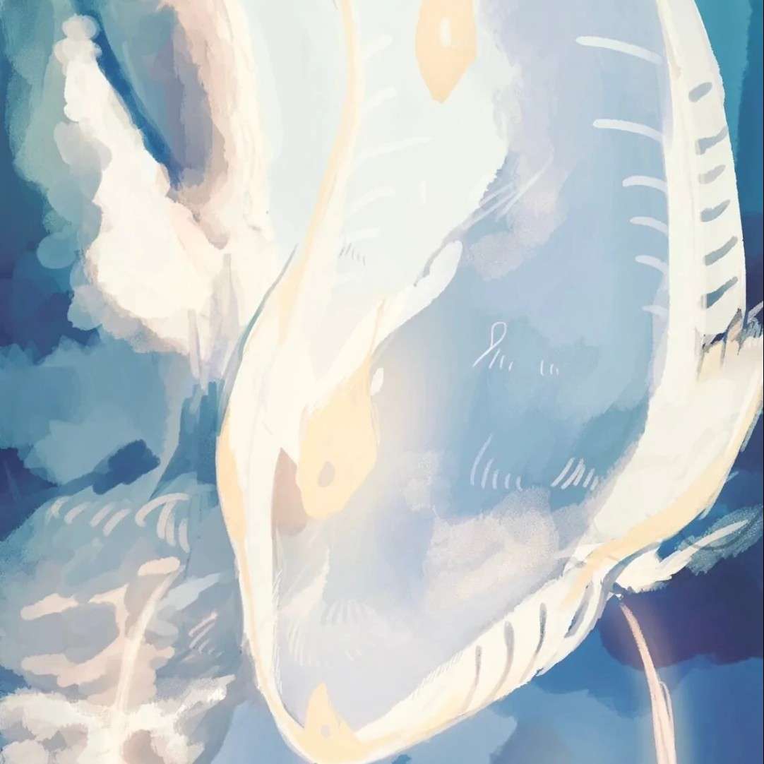 ·