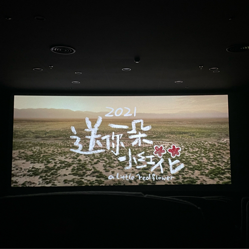 送你一朵小红花
