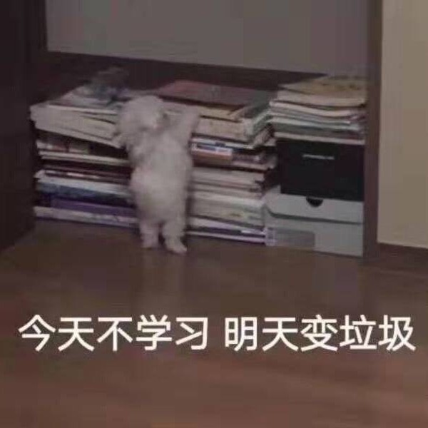 吃樱果🍭的王先生的专辑