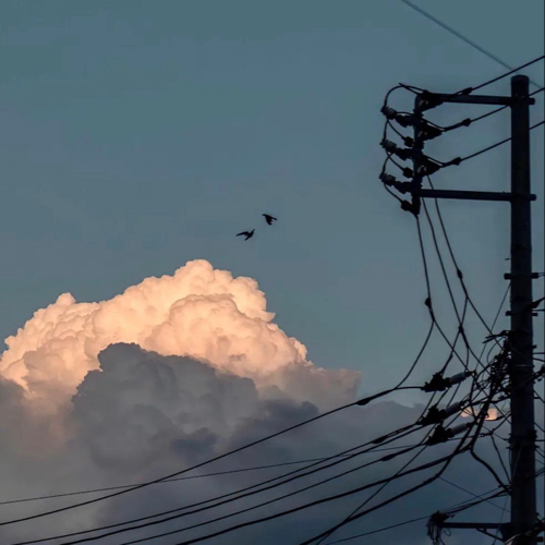 原创
