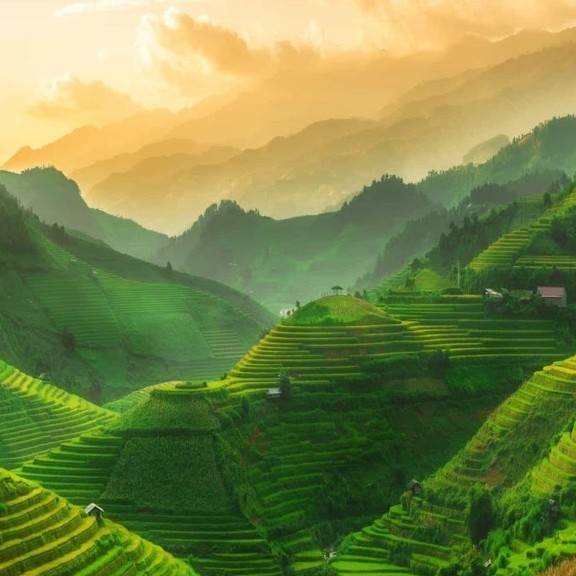 与你同在