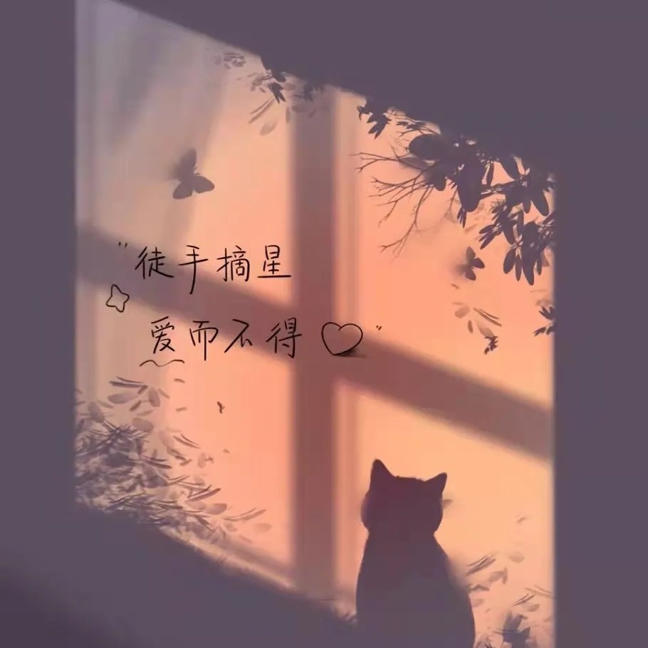 浪漫至死不渝