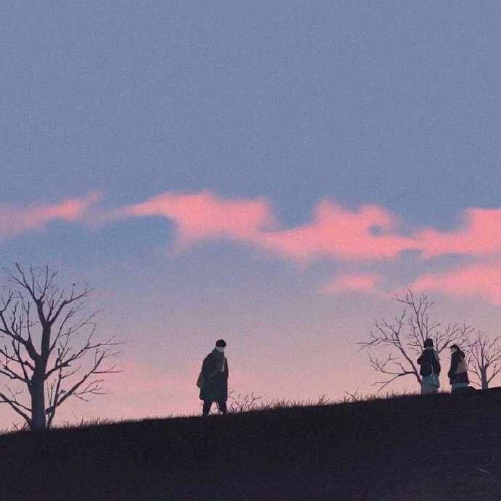 逝去的青春