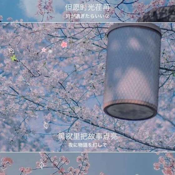 遗憾