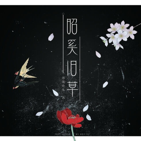 昭奚旧草