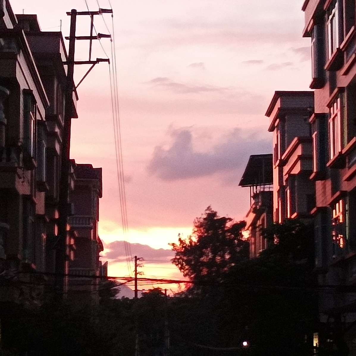 理科生文案