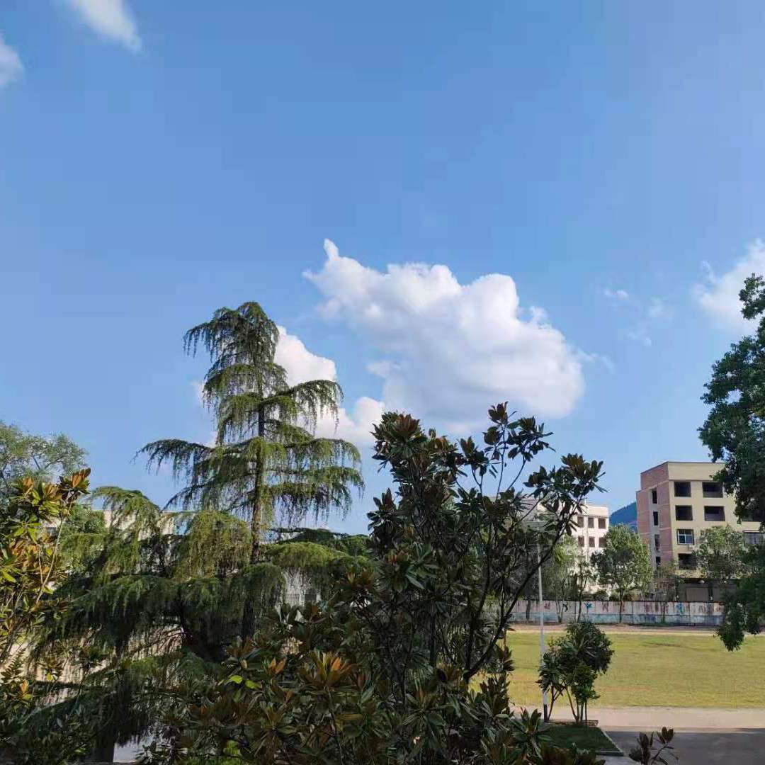 哲理