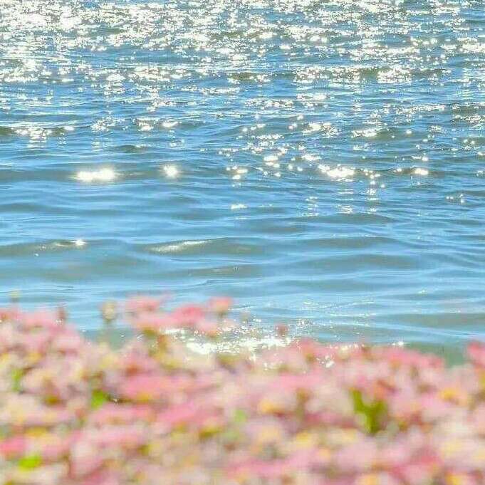 梦华录