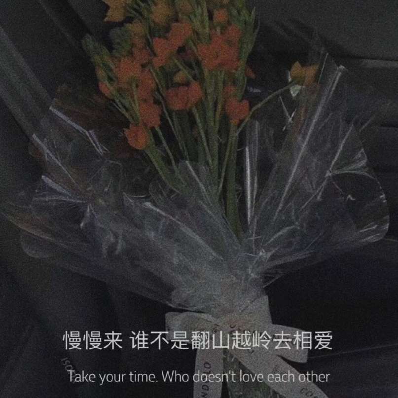 跌入秋色里♡的专辑
