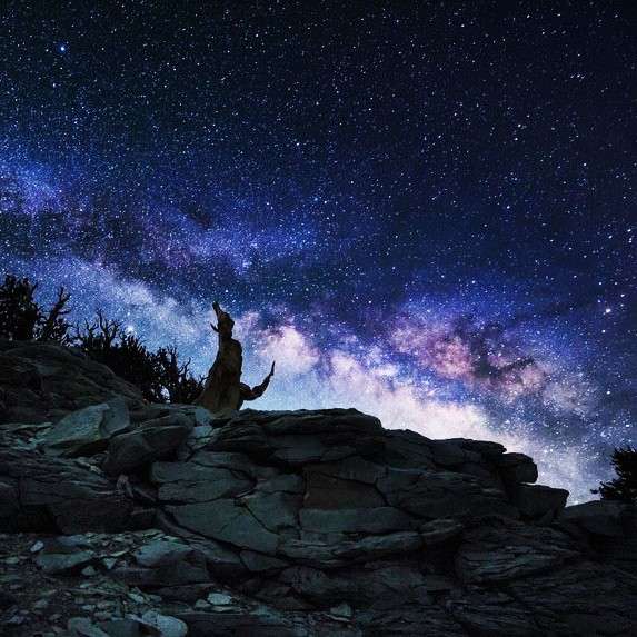 星寂