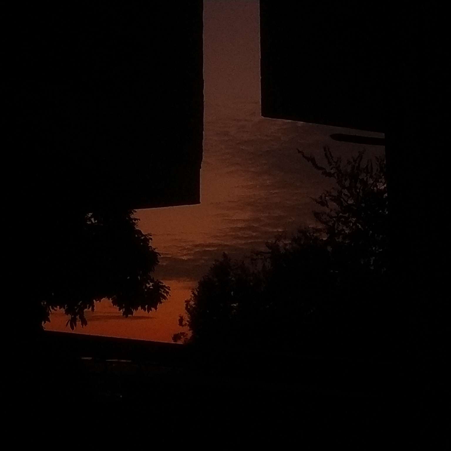 楡