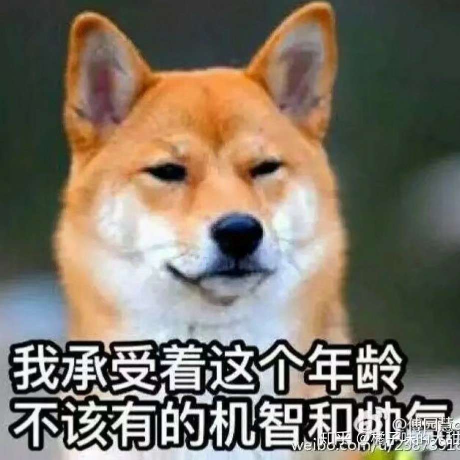 王十蛋的专辑