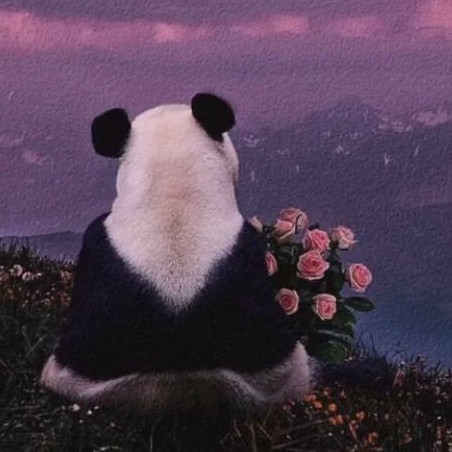 南山南