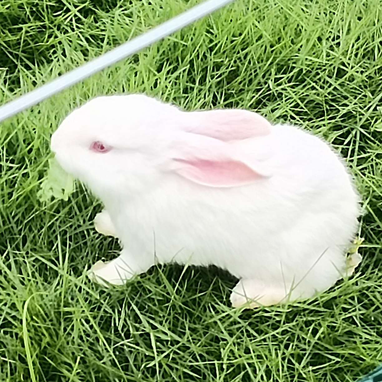 。