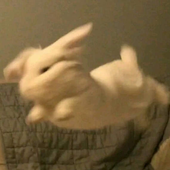 文短(心歡)