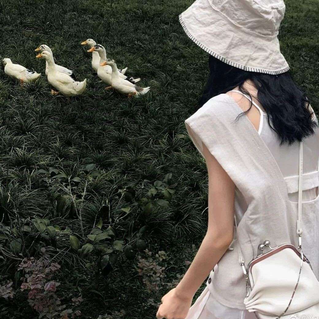 久别的孤岛