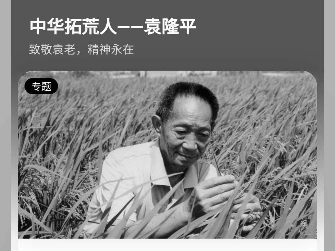 致敬袁老