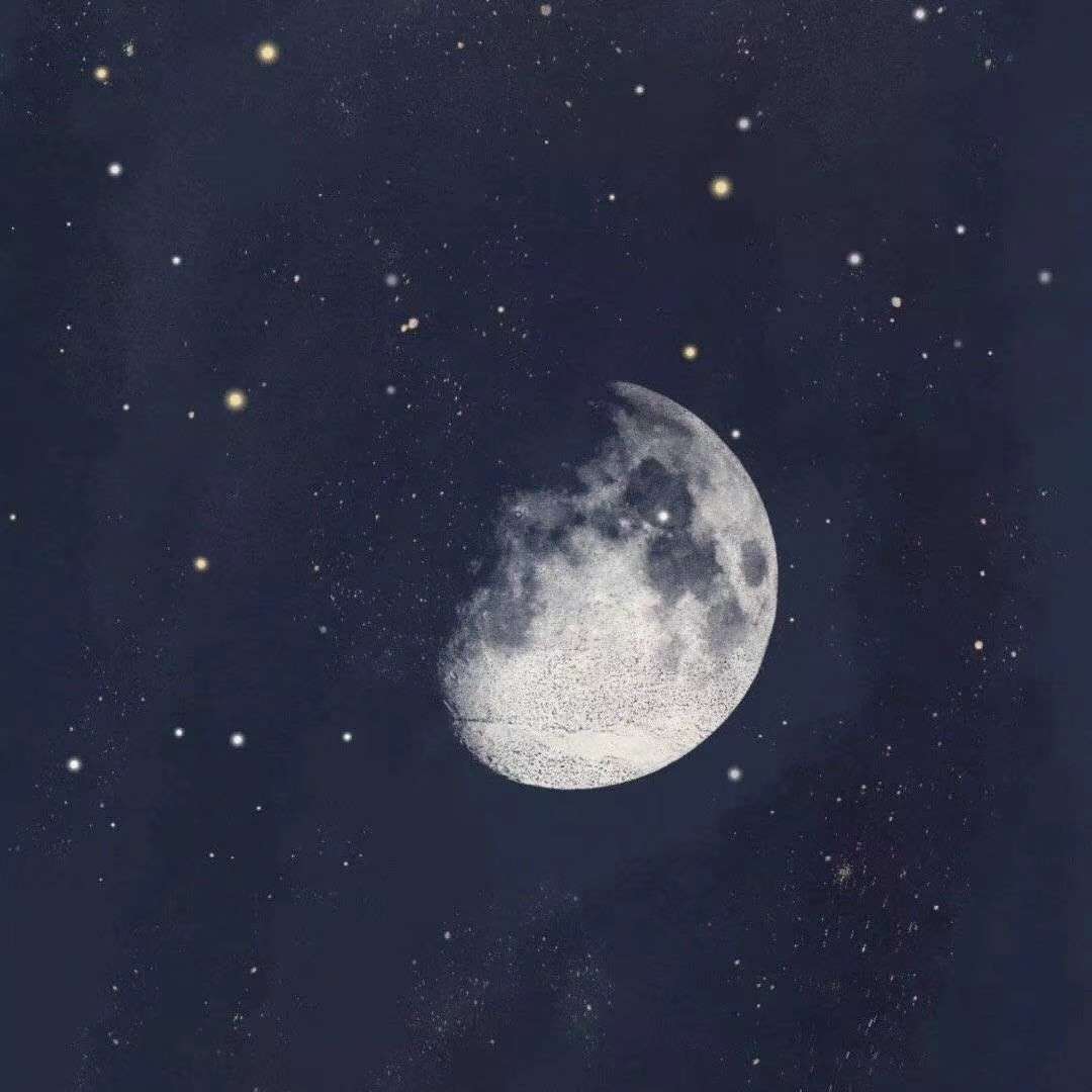 晚风明星