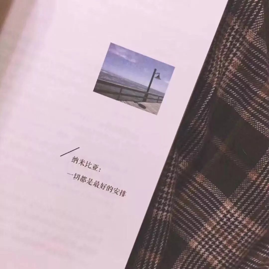 东纸哥的小说经典