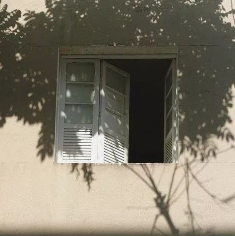 小糖小爱
