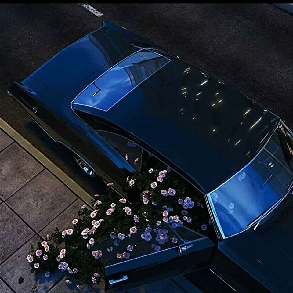意难平·文案