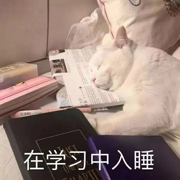 摘抄。