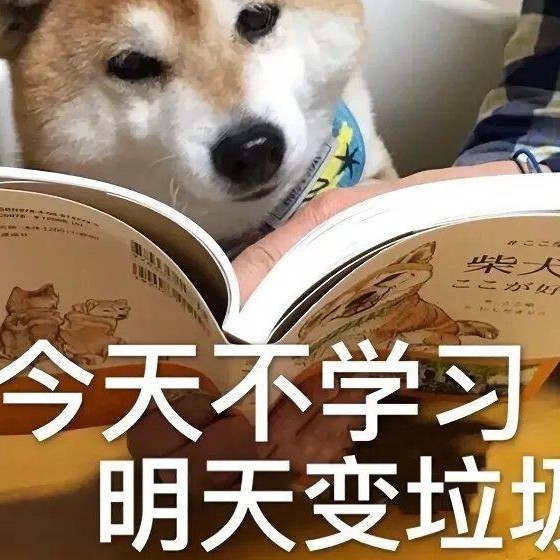 上岸