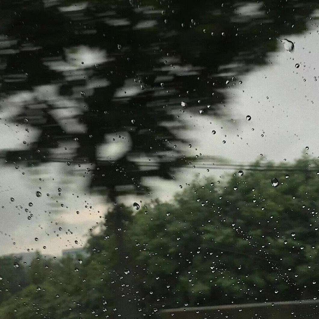 懂