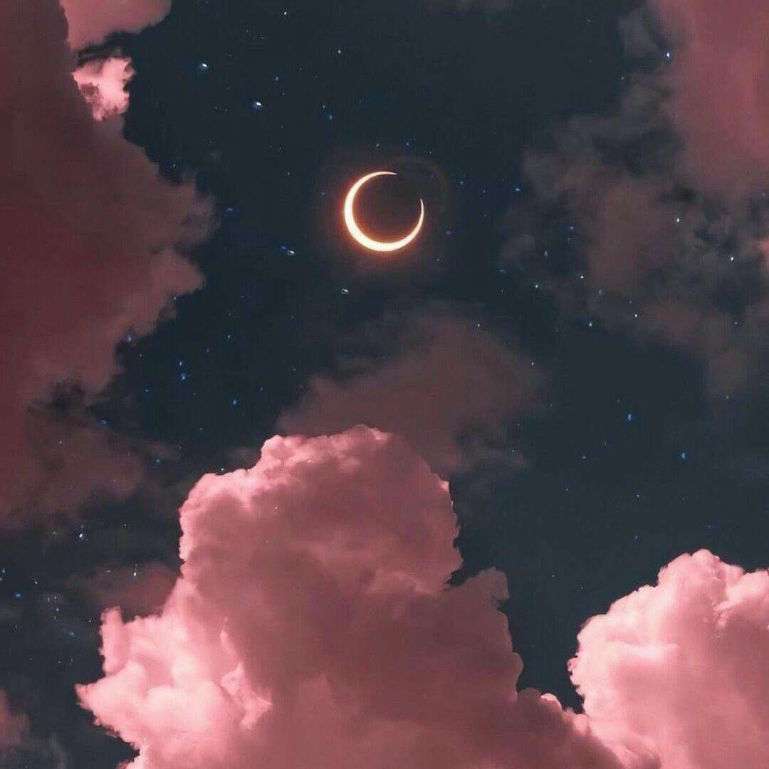 名著