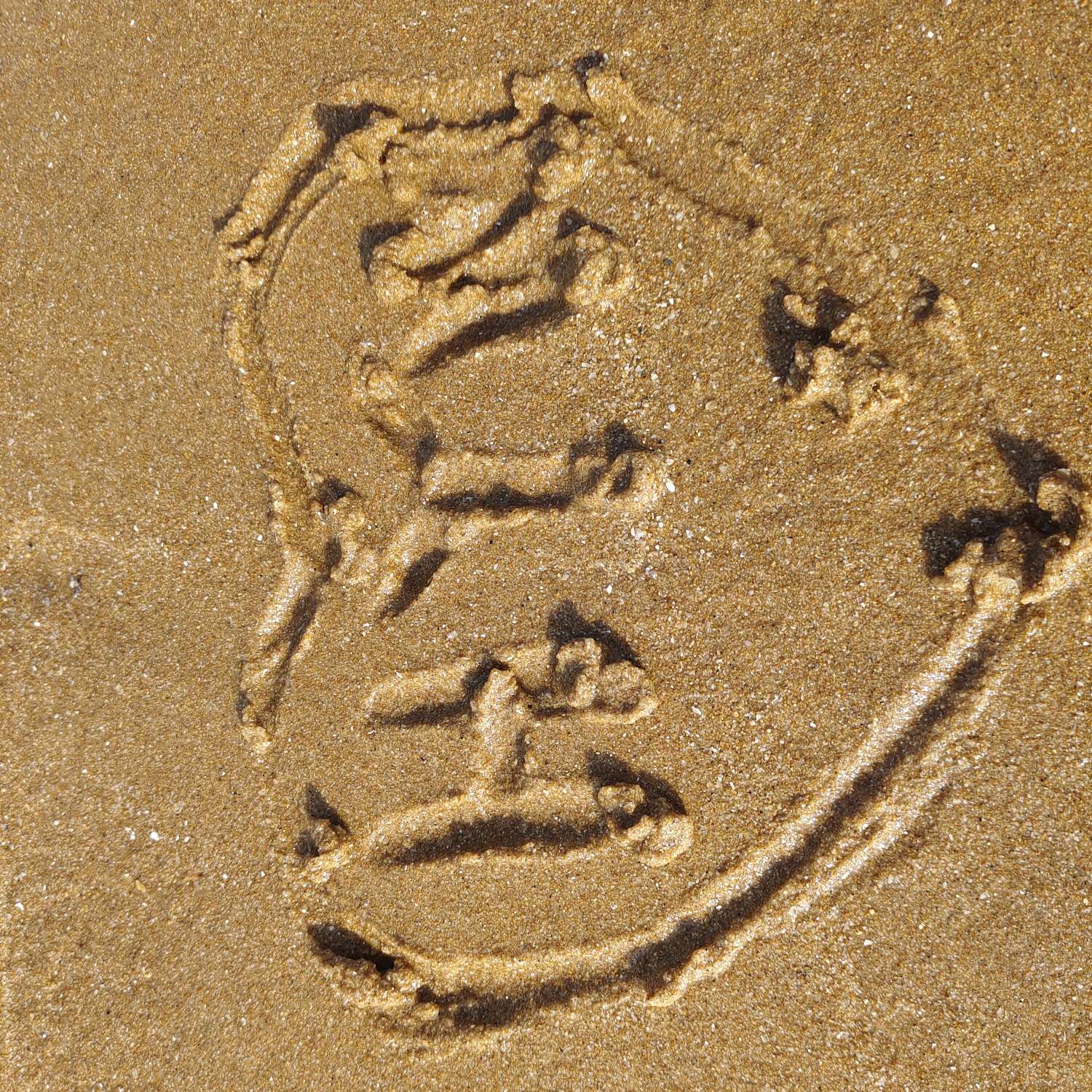 小说摘抄