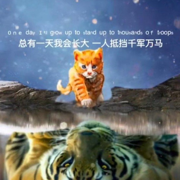 难过的时候就看看吧