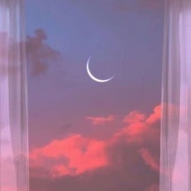 她不会死