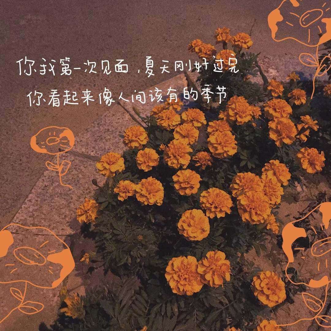 人民日报