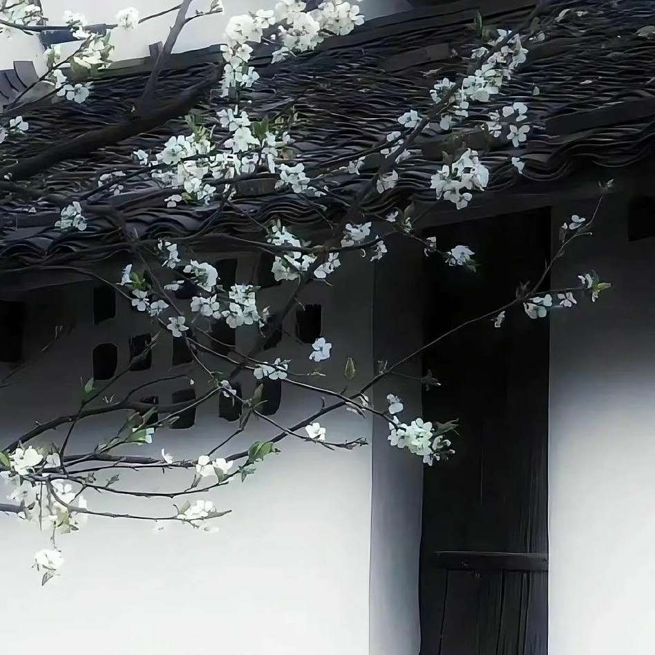 沉淀
