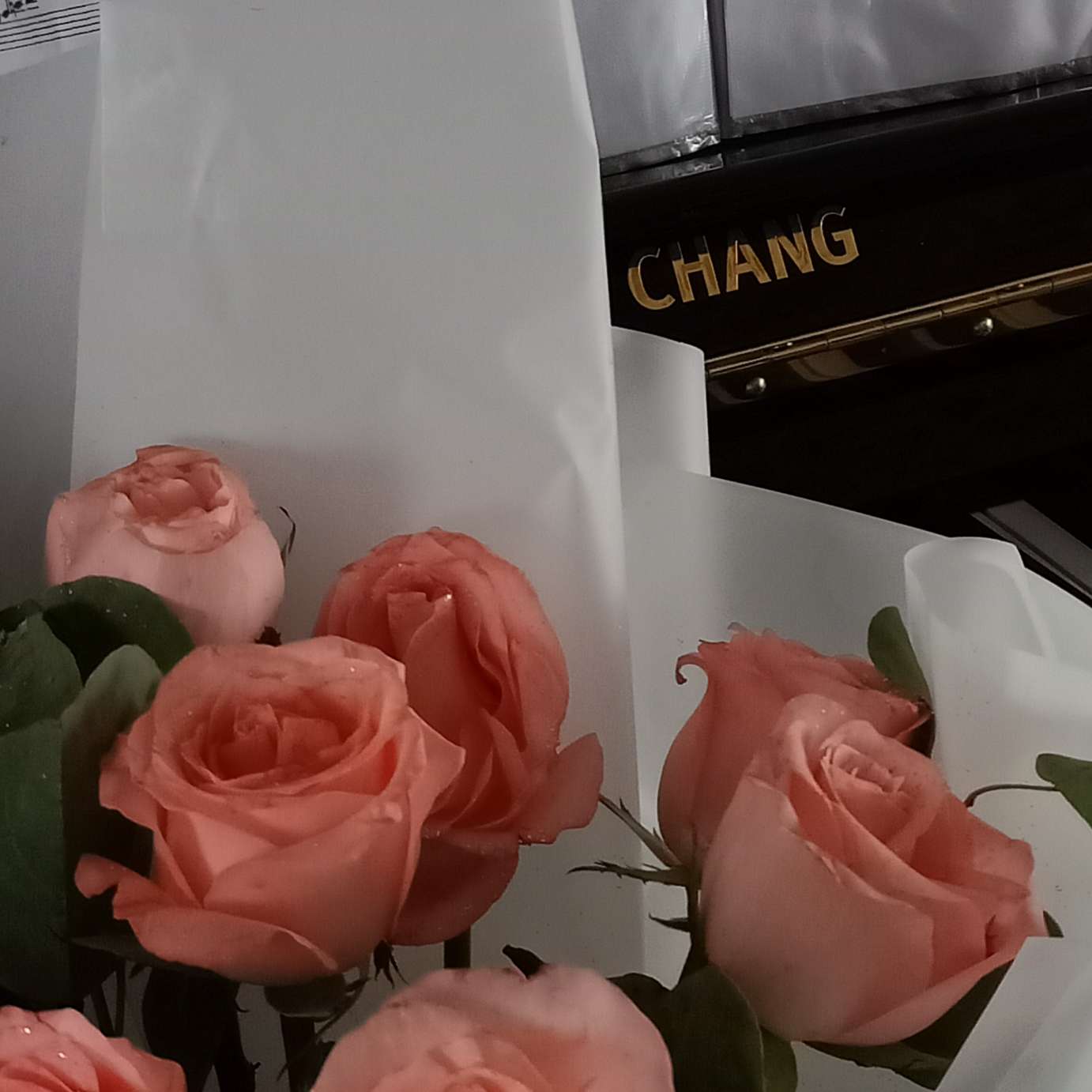 花儿与少年