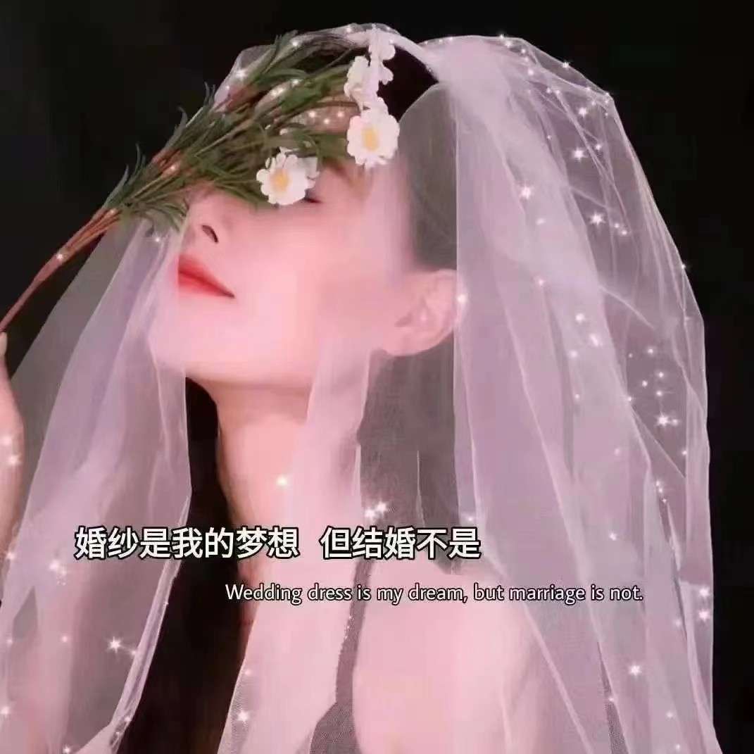 落梅的专辑