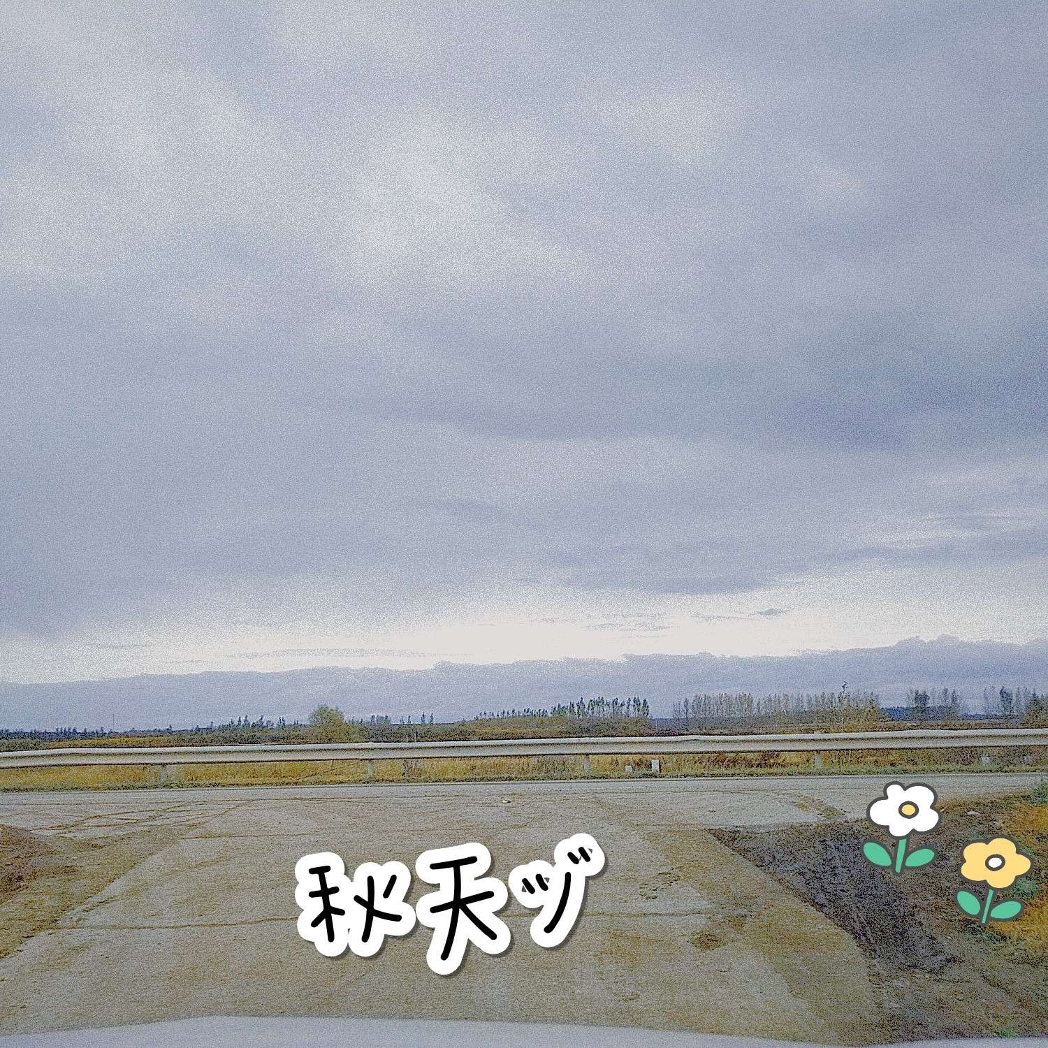 可爱开心😄
