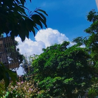 love.的专辑