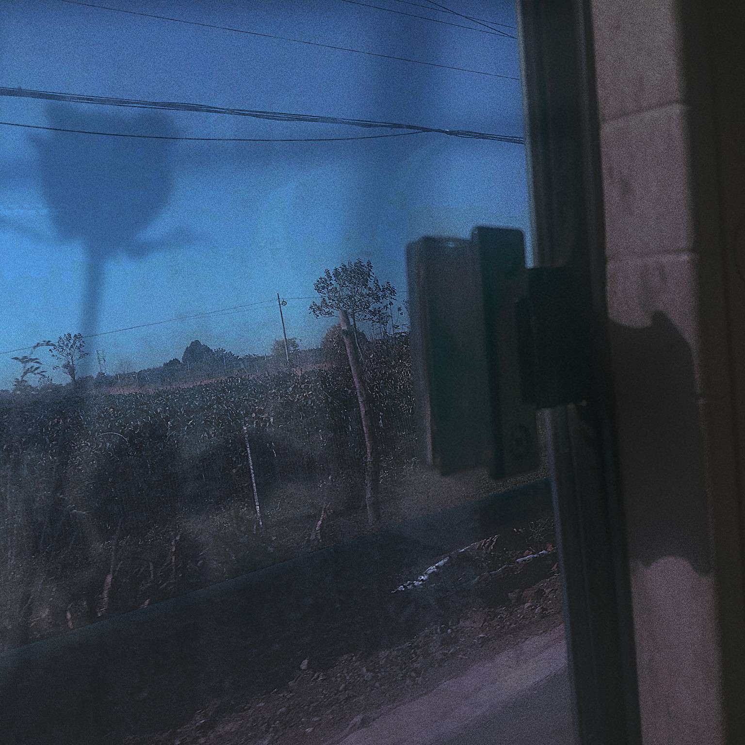 景