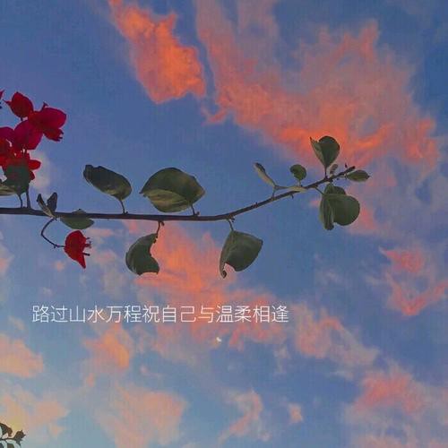 治愈の温柔