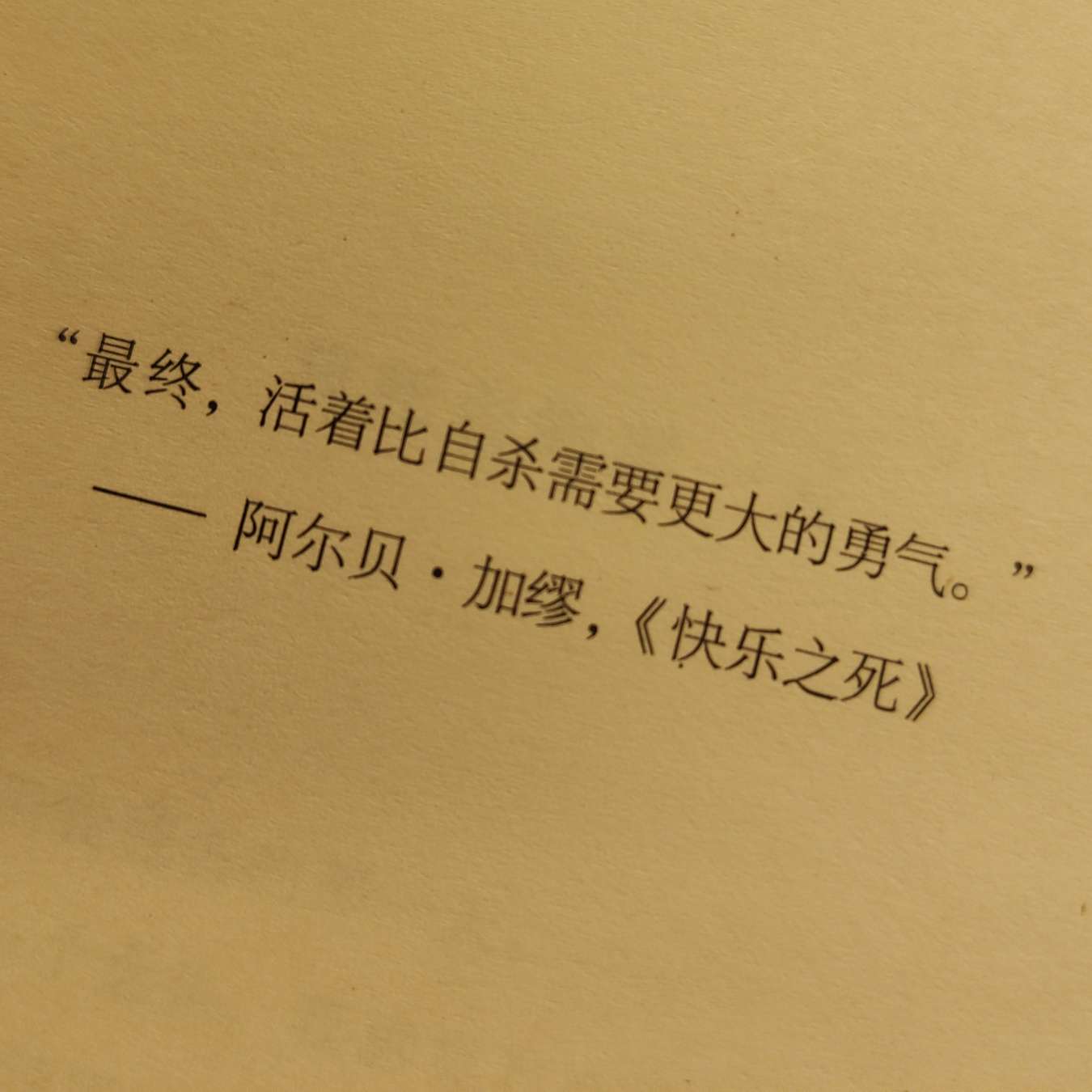 美文