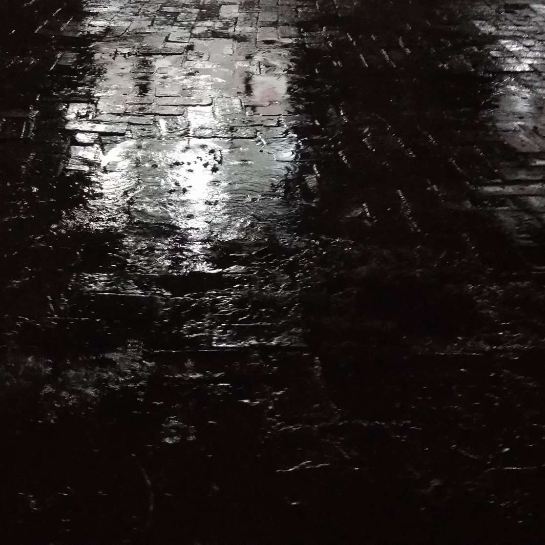 游迎的专辑
