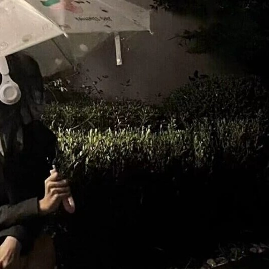 世界不美丽