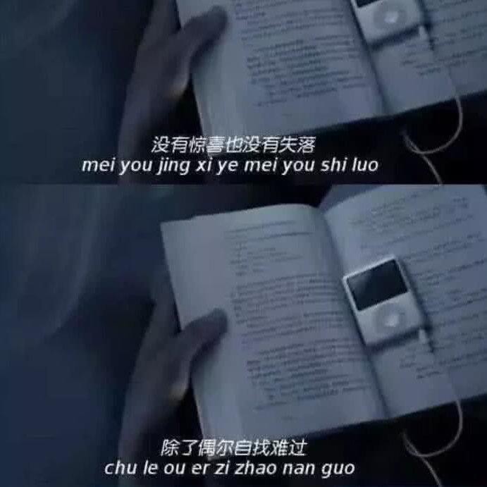 太真实了吧