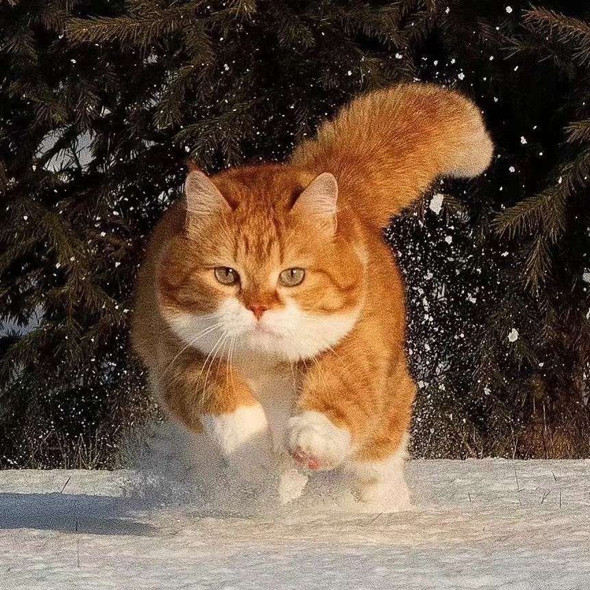 心之所至