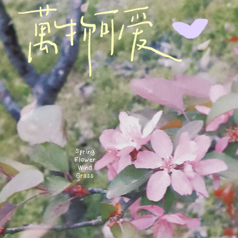 莞香作文库