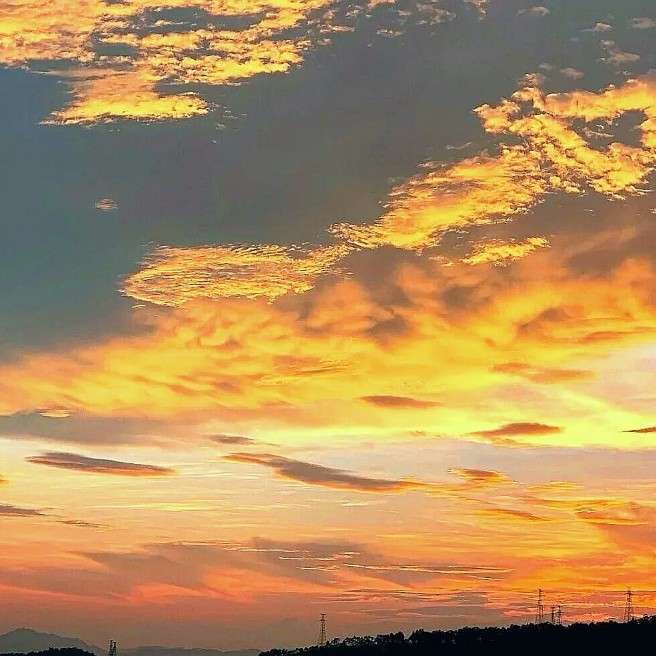唯美