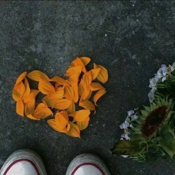椿悲