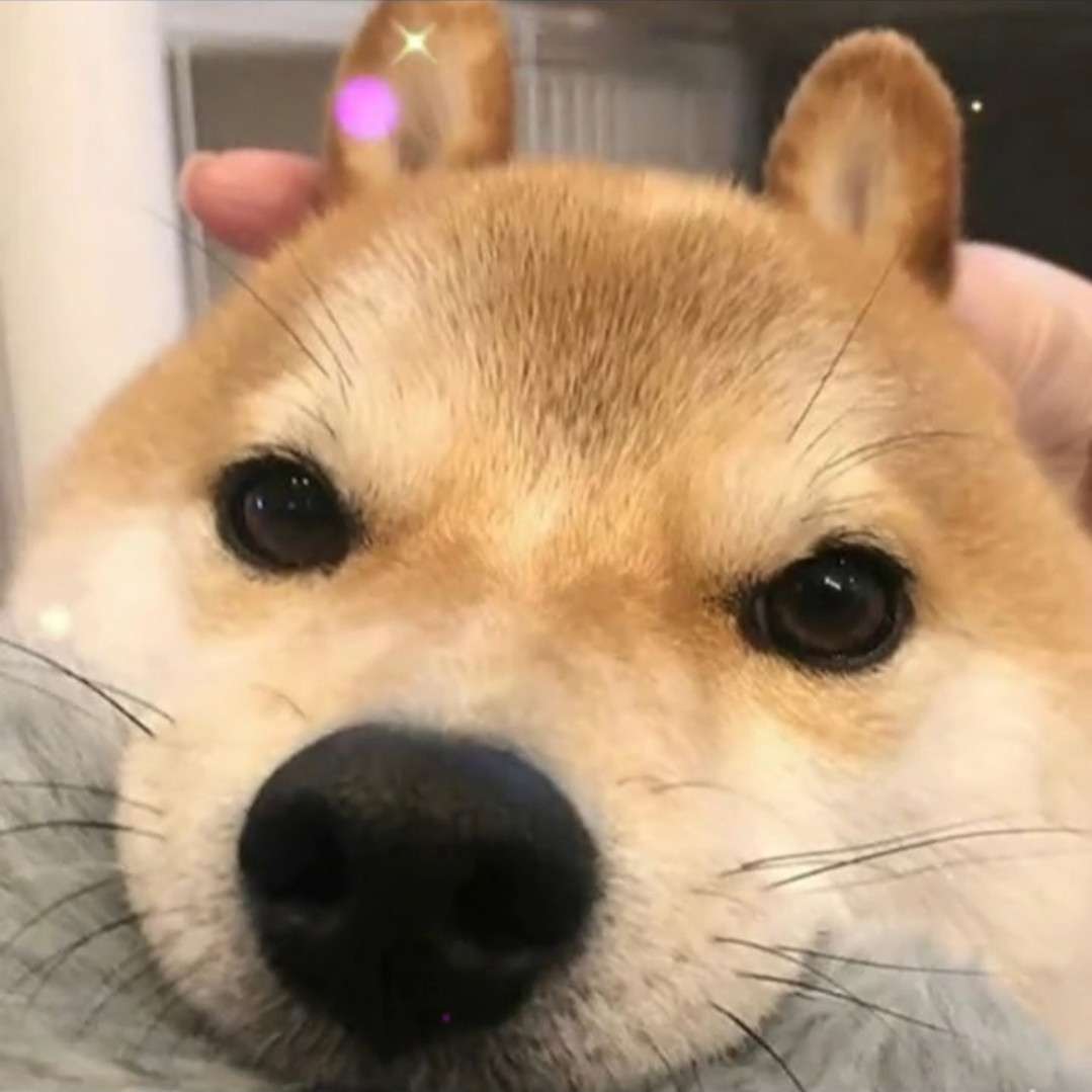 陆子寂的专辑